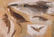 Thomas Eakins Studies of Game Birds, probably Viginia Rails France oil painting artist